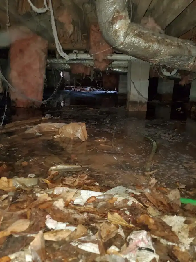 Crawl space flood assessment for Leak Detection & Repair in Redland