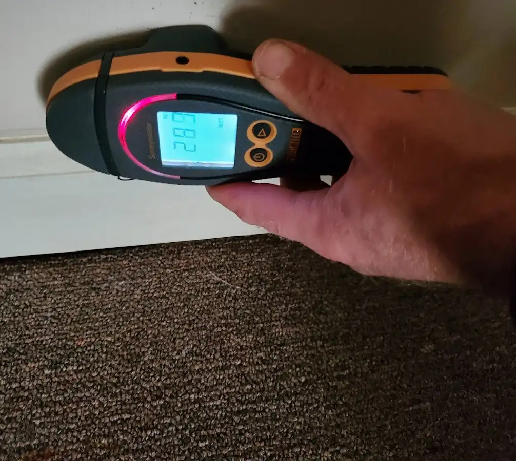 Moisture detection at baseboard during Burst Pipe Cleanup in Redland